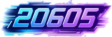 20605